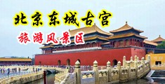 靠逼成人午夜视频免费中国北京-东城古宫旅游风景区